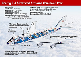Screenshot 2025-06-19 at 02-27-12 96023073-14824489-The_planes_are_outfitted_as_complete_comma...png