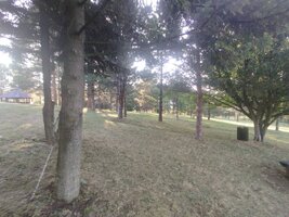 IMG_20250620_183242.jpg