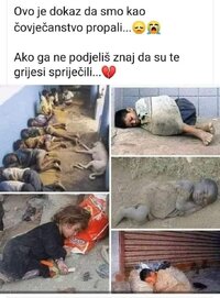 FB_IMG_1727549424532.jpg