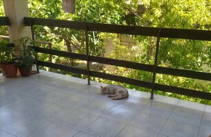 IMG_20250622_144525.jpg