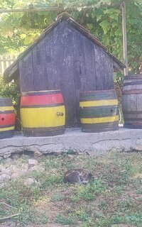IMG_20250622_151612690.jpg