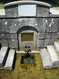 21401869.jpg