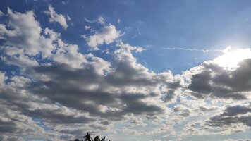 IMG_20250628_174134.jpg