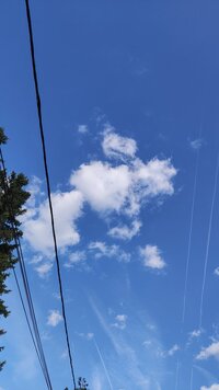 IMG_20250628_174128.jpg