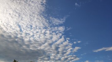 IMG_20250628_062722.jpg