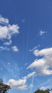 IMG_20250628_174123.jpg