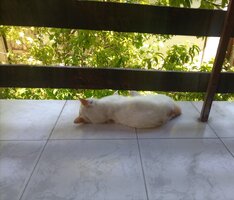 IMG_20250629_124743.jpg