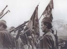 3 zicka leteca brigada.jpg