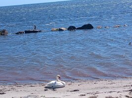 IMG_20250703_143414322.jpg
