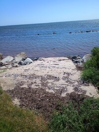 IMG_20250703_143249640.jpg