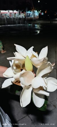 IMG_20250704_224012.jpg