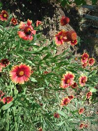 IMG_0961.jpg