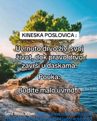 1751811533491.png