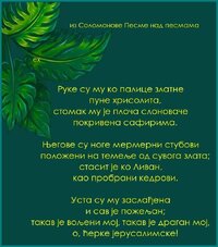 соломон.jpg