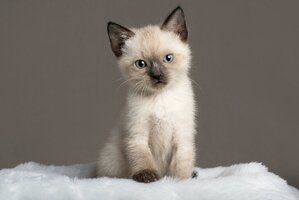 iStock-1076432222.jpg