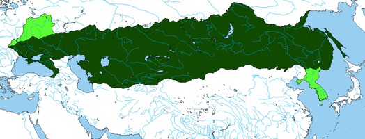 57tdvj6a70621.png