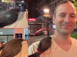 1752078173992.png 1752078173992.png