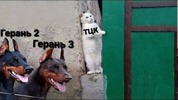 Gvd36lBWcAEZ1nP.jpeg