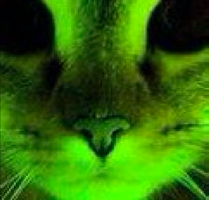 Glownigger.png