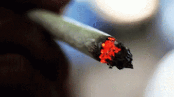 joint-smoke.gif