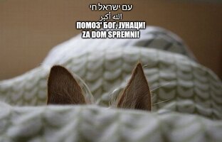 1000003116.jpg