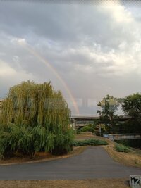 IMG_20250712_192957.jpg