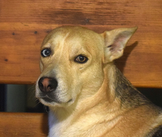 1752498941769.png