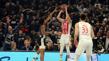 677z381_nedovic2.jpg