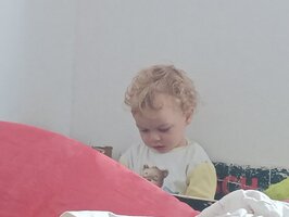 1000032030.jpg