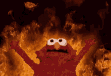 1752739663852.gif