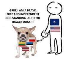 1000008917.jpg
