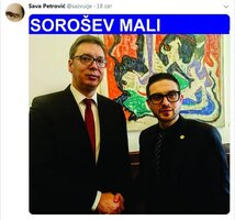 SOROŠEV MALI.jpeg