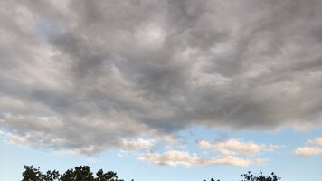 IMG_20250717_185409.jpg