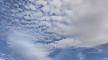 IMG_20250716_171235.jpg