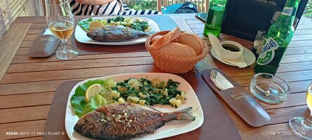 IMG_20250718_123234.jpg