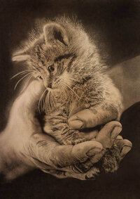 hand_and_cat_by_paullung_d5p8ftd-375w-2x.jpg