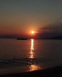 IMG_20250719_002518.jpg