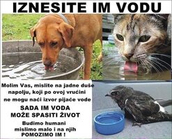 IMG-7986685d9429cdc0504b353acd69e0d4-V.jpg