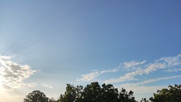 IMG_20250722_062744.jpg
