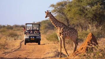 African-Safari-Trends-for-2024-Include-Higher-Budg.webp