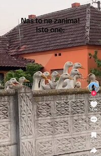 IMG_0813.jpeg