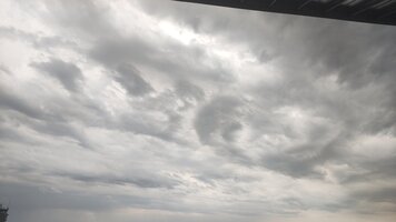 IMG_20250727_095817.jpg