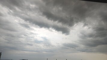 IMG_20250727_100408.jpg