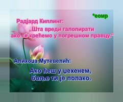 алихоџа.jpg