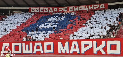 2526_cz_ofk_5.jpg