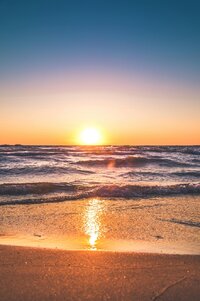 IMG_1636.jpeg