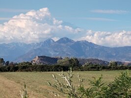 IMG_20250728_180618.jpg