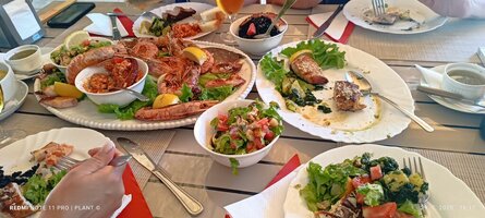 IMG_20250729_161702.jpg