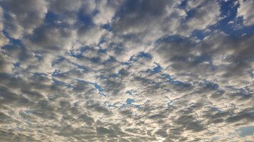 IMG_20250730_191507.jpg