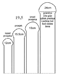 velicina1_ja.gif